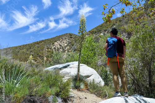 Tujunga, California, USA - May 9, 2022: A tourist man is looking at chaparral yucca on the trail to Canyon Falls