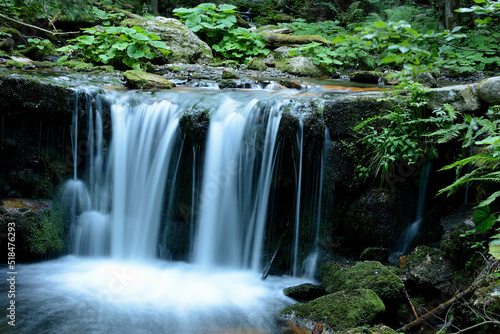 Fototapeta Naklejka Na Ścianę i Meble -  Wodospad w lesie