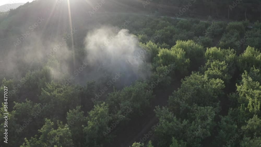 Tractor spraying pesticide drone aerial view, pesticides or insecticide spray on . Pesticides and insecticides on agricultural field in Türkiye Tractor spraying pesticide drone aerial view, pesticides or insecticide spray on . Pesticides and insecticides on agricultural field in Türkiye