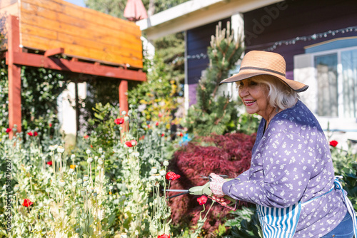 Happy elderly woman cutting weeds at garden photo