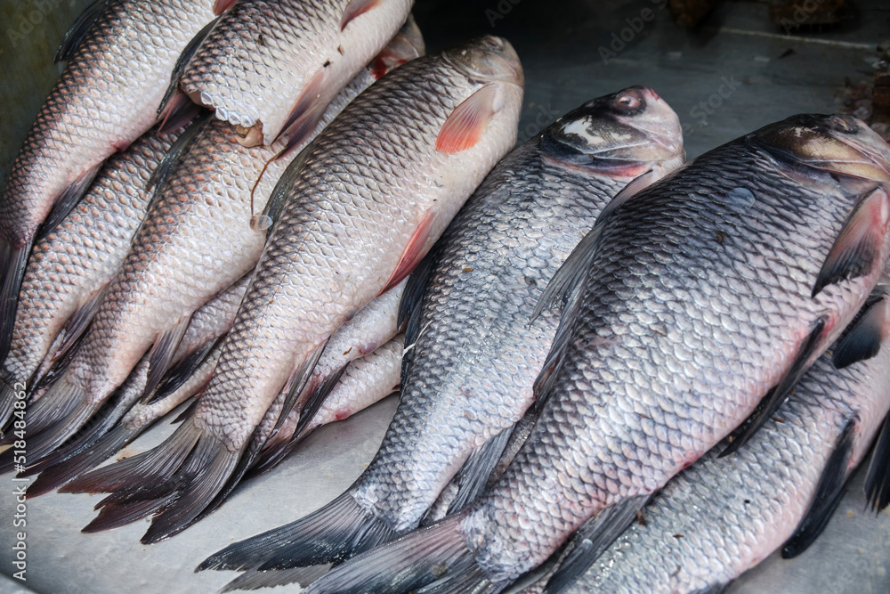 In India Local Fish Market in Darjeeling where many varieties of
