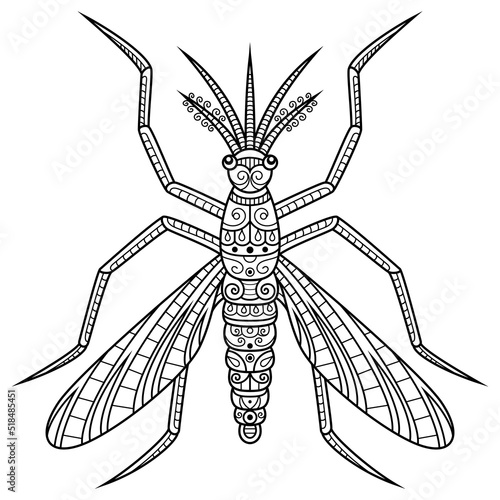 Hand drawn of mosquito in zentangle style