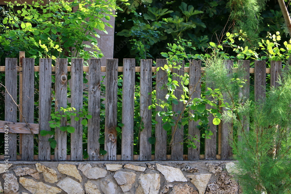 Plants and flowers grow along the high fence. Plants and flowers grow along the high fence.