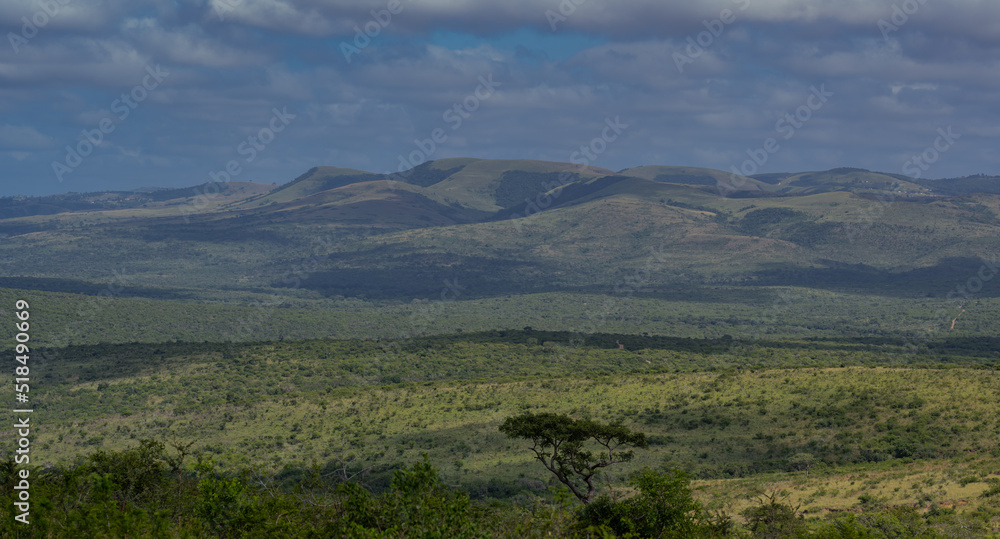 Fototapeta premium Naturreservat Hluhluwe Imfolozi Park Südafrika