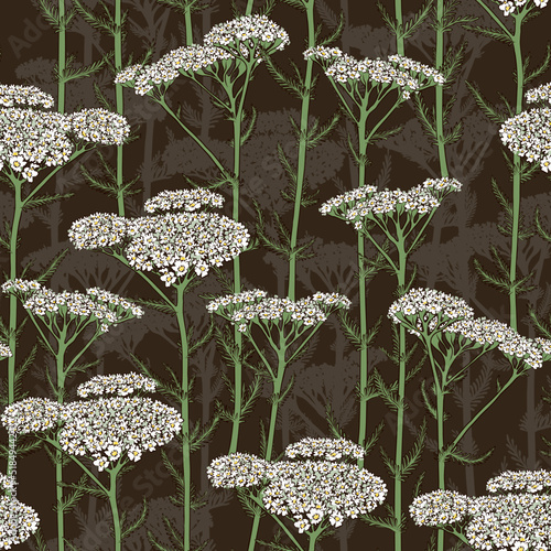 SEAMLESS BROWN VECTOR PATTERN WITH BLOOMING WHITE YARROW