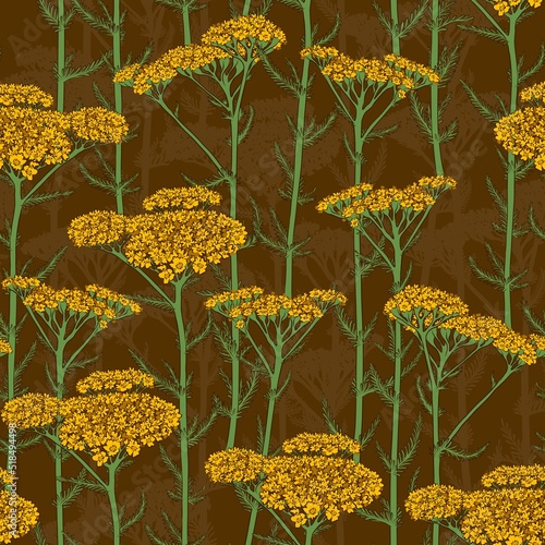 SEAMLESS MUSTARD VECTOR PATTERN WITH BLOOMING YELLOW YARROW