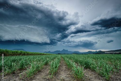 Storm clouds over cane fields with Mount Warning in Murwillumbah landscape