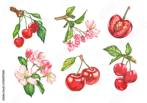Tableau sur toile Cherry