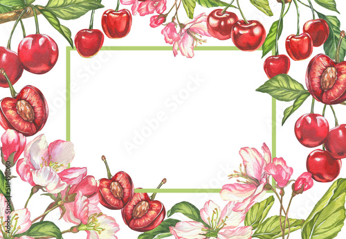 Cherry. watercolor botanical illustration of cherry berries and flowers. frame for cards and invitations