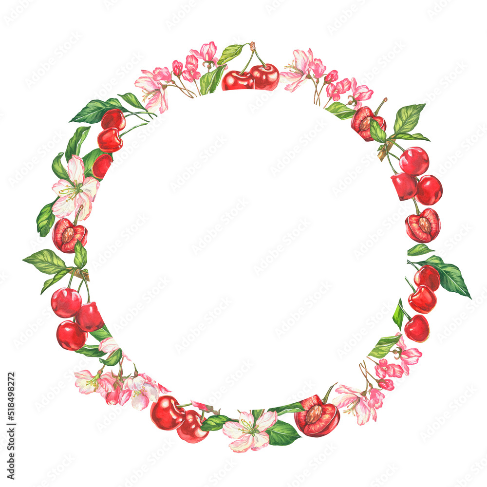 Cherry. watercolor botanical illustration of cherry berries and flowers. frame for cards and invitations Cherry. watercolor botanical illustration of cherry berries and flowers. frame for cards and invitations