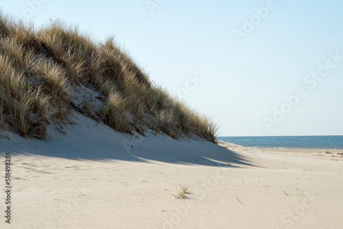 Sand dunes on the island of Rømø in Denmark