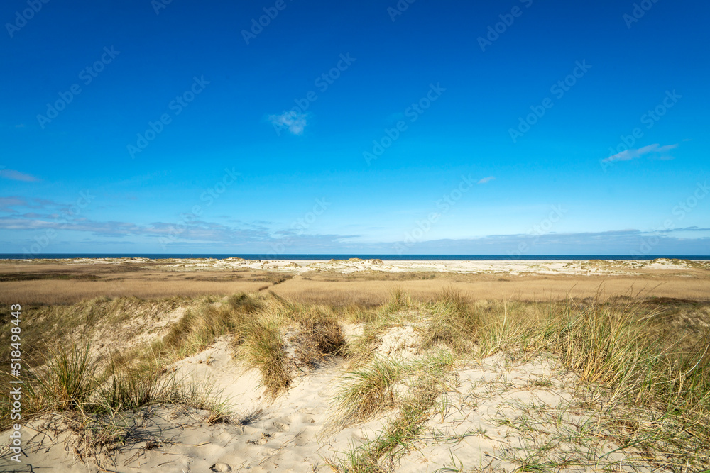 Sand dunes on the island of Rømø in Denmark
