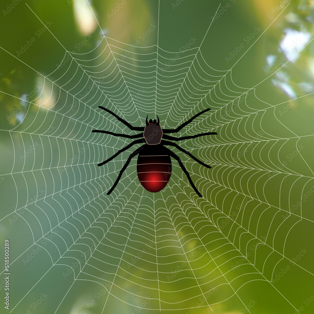 Obraz premium spider on the web, vector illustration 