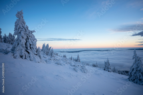 Fototapeta Naklejka Na Ścianę i Meble -  Early winter morning in the mountains. Magnificent view of sky above clouds