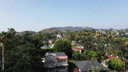 Aerial Hollywood Hills Palm Trees 002
