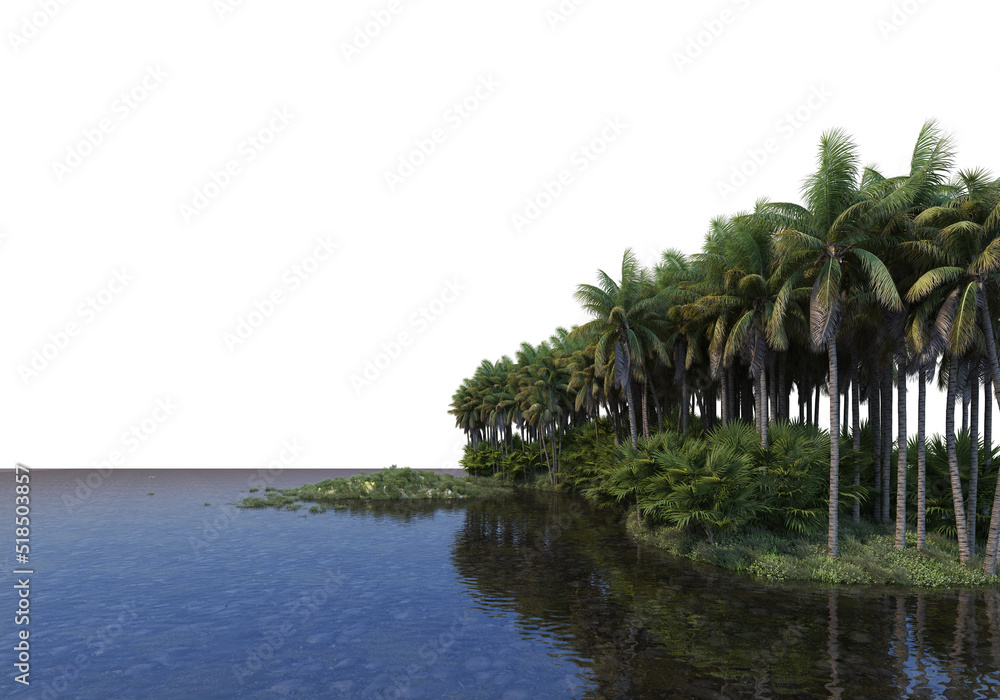 Obraz premium A canal that runs through a coconut grove with a white background.