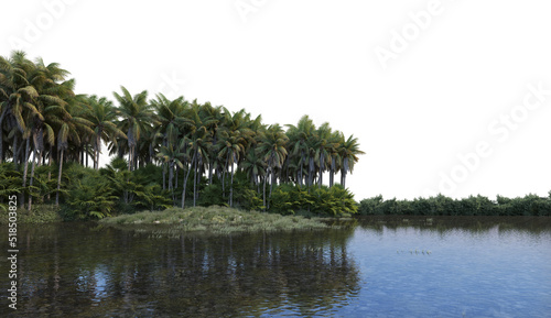 A canal that runs through a coconut grove with a white background.