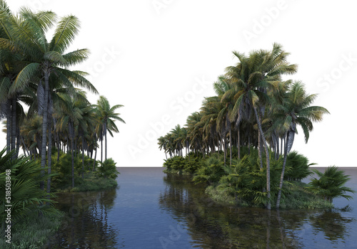 A canal that runs through a coconut grove with a white background. © jomphon