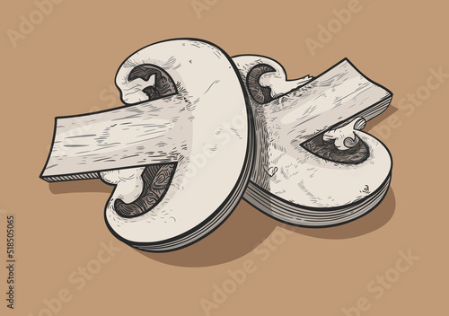 Two fresh slices of champignons lie on top of each other. Vector illustration in a linear style with outlines and colors, EPS 10. Separate parts on a beige background. Vegan food.