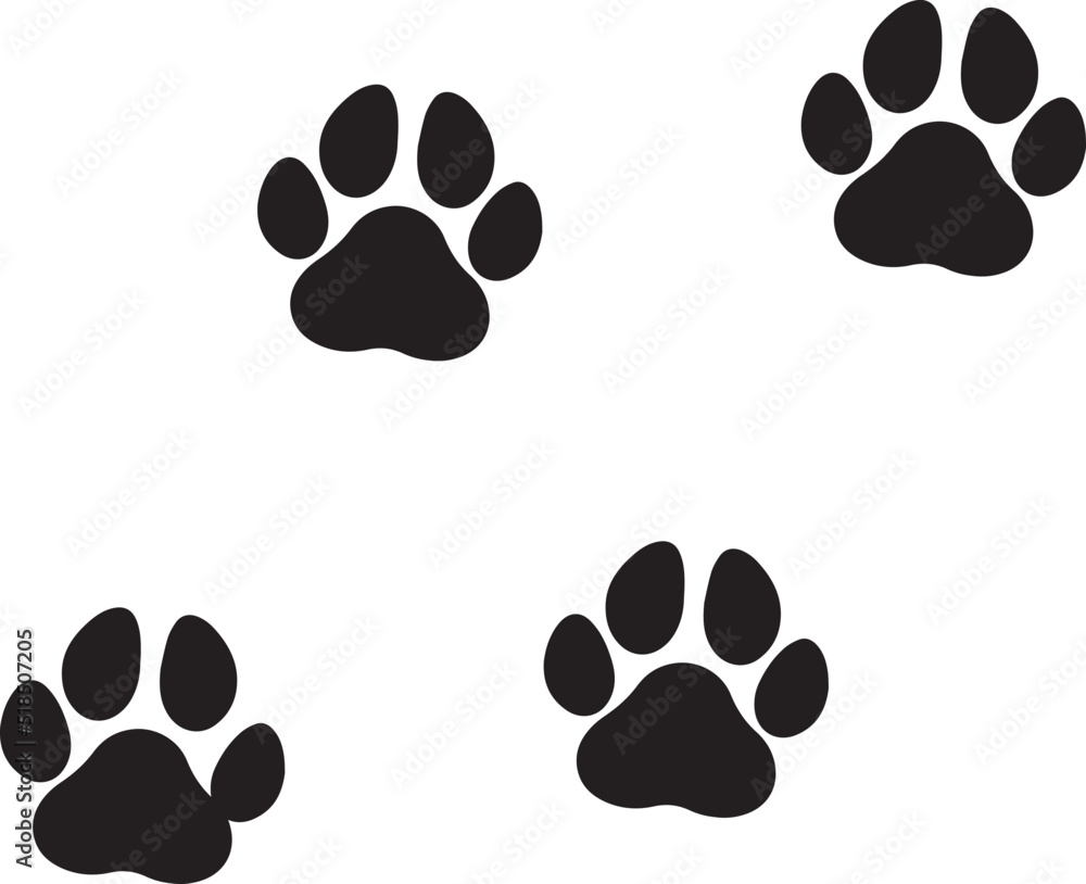 Dog Paws Dog Paws