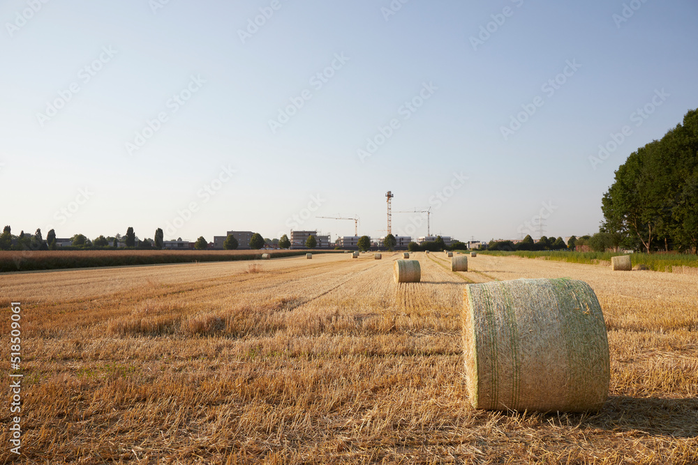 hay bundes on a harvested wheat field in the foreground construction works for family houses in the background. symbol for new houses nearby countryside
