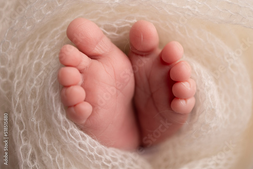 Soft feet of a newborn in a white woolen blanket. Close-up of toes, heels and feet of a newborn baby. The tiny foot of a newborn. Studio Macro photography. Baby feet covered with isolated background. 