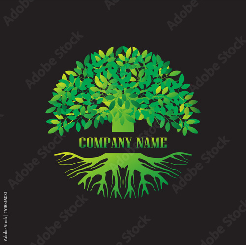 Root Of The Tree logo vector illustration. Abstract vibrant tree logo design, root vector - Tree of life logo design inspiration isolated on black background.