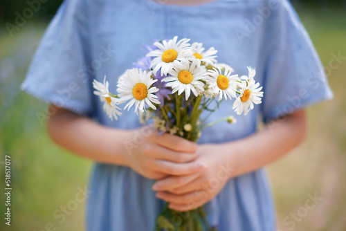 young girl in blue dress holding bunch of chamomile on the field