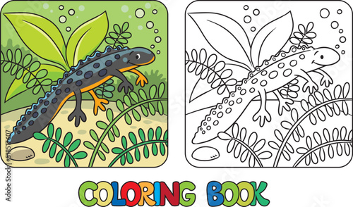 Funny sweeming newt. Kids coloring book. Vector
