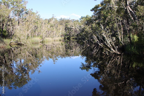 Reflections in the Noosa Everglades, Sunshine Coast, Queensland, Australia.