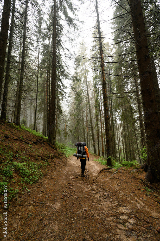 Tourist hike with large backpacks in the Carpathians. Tourist hike with large backpacks in the Carpathians.