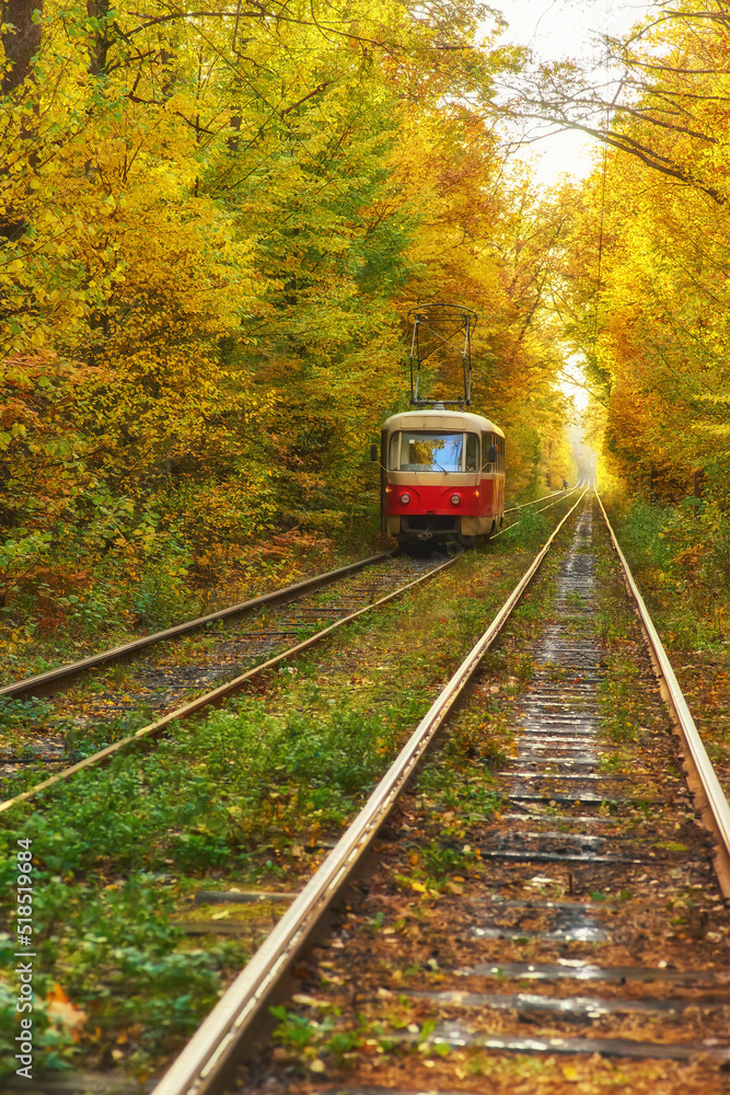 Fototapeta premium Tram with passengers departs from bus stop in city in early morning.