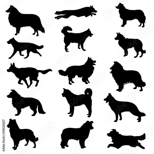 set of dogs silhouettes photo