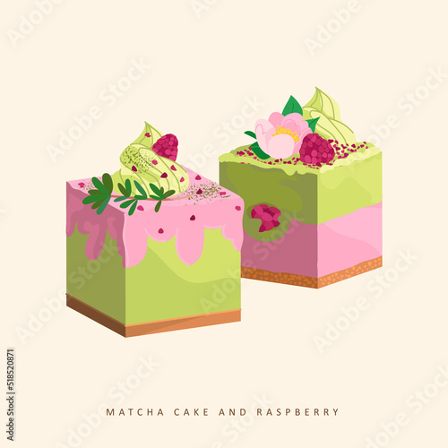 green tea cake layered raspberry cream isolated on beige background. Vector flat illustration pastry