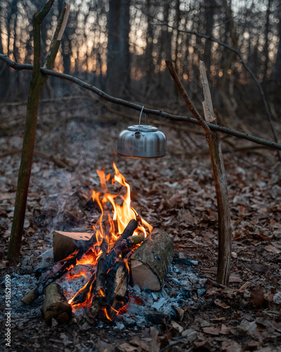 Cooking on the campfire in the woods