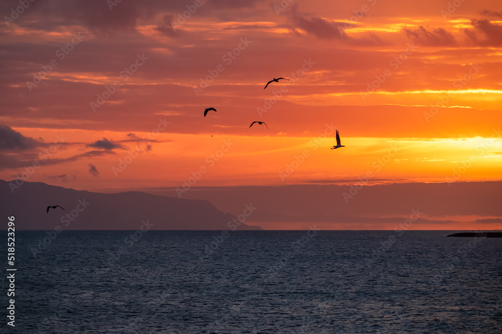 Romantic sunset seen from lookout Cypelek Los Cristianos, Tenerife, Canary Islands, Spain, Europe. Silhouette of birds entering frame. Island of La Gomera in the distance. Vacation on Atlantic Ocean