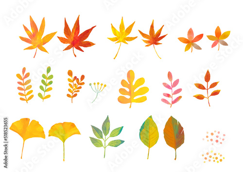 秋の紅葉 葉っぱ水彩イラストセット © Olivia