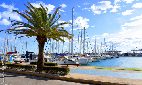 Palm tree at the pier in the sea harbor. Yachts and sailboats in the harbour of la Marina de Valencia. Luxury yacht and fishing motor boat in yacht club at Mediterranean Sea.