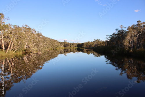 Reflections in the Noosa Everglades  Sunshine Coast  Queensland  Australia.