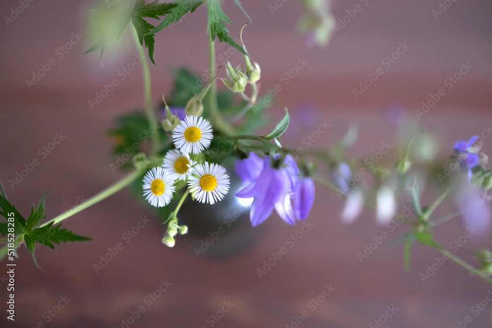 bouquet of wild flowers in a vase, medicinal chamomile