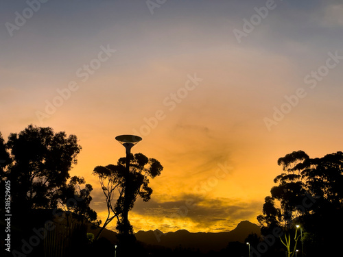 sunset and tree silhouette