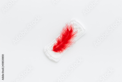 White panty liners with red feather. Menstruation period and daily hygiene