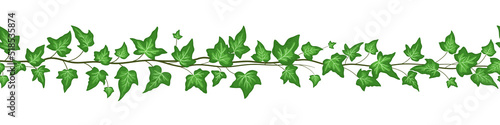 Seamless border with green ivy leaves isolated on white background. Vector flat cartoon illustrations. Vine climbing ivy