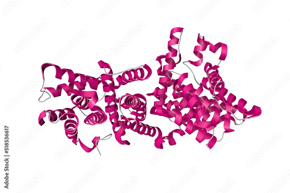 Dihydroimidazoisoquinoline derivatives as phosphodiesterase 10A inhibitors for the treatment of schizophrenia. Ribbons diagram based on protein data bank entry 4dff. 3d illustration Dihydroimidazoisoquinoline derivatives as phosphodiesterase 10A inhibitors for the treatment of schizophrenia. Ribbons diagram based on protein data bank entry 4dff. 3d illustration