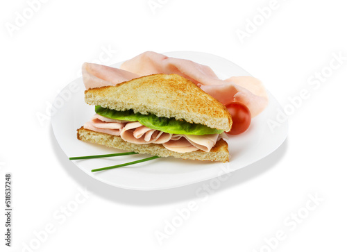 sandwich tostado de pavo y vegetales en plato sobre fondo blanco