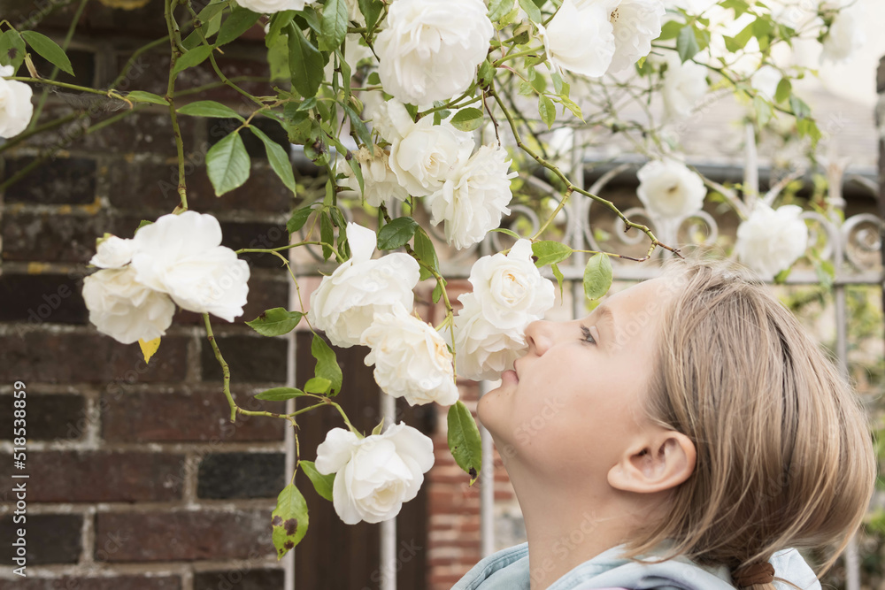 A teenager stands sniffing white flowers on a tree.Flowers in focus A teenager stands sniffing white flowers on a tree.Flowers in focus