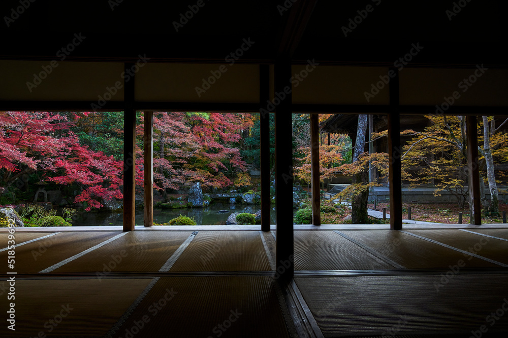 View from Rengeji Temple in Kyoto, Japan View from Rengeji Temple in Kyoto, Japan