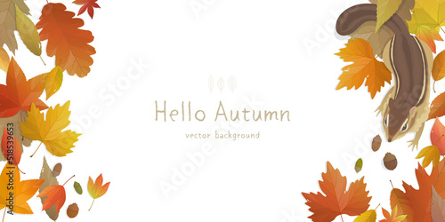 Vector illustration of autumn banner background with copy space. Fall landscape concept.