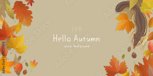Vector illustration of autumn banner background with copy space. Fall landscape concept.