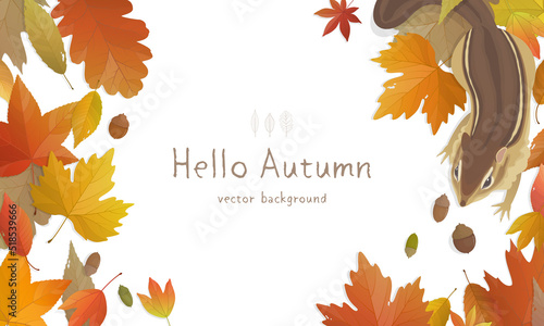 Vector illustration of autumn banner background with copy space. Fall landscape concept.
